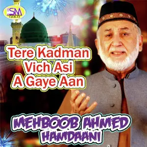 Tere Kadman Vich Asi A Gaye Aan image