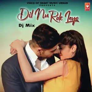 Dil Nu Rok Leyo Dj Mix image