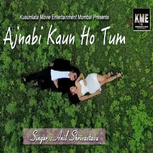 Ajnabi Kon Ho Tum 