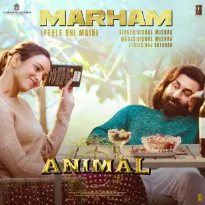 Marham (Pehle Bhi Main) From ANIMAL 