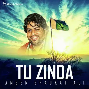 Tu Zinda - Single image