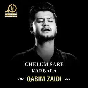 Chelum Sare Karbala image