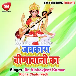 Jaikara Veena Wali Ka-Hindi Devotional Song image