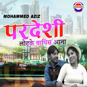 Pardeshi Lotke Vapis Aana image