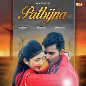 Patbijna image