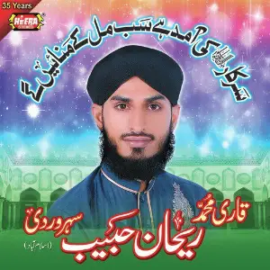 Sarkar Ki Amad Hai image