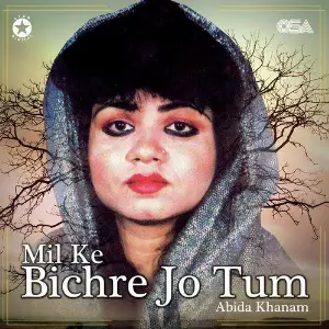 Mil Ke Bichre Jo Tum image