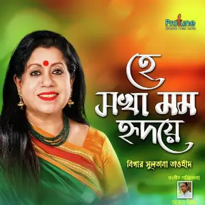 He Sokha Momo Hridoye image