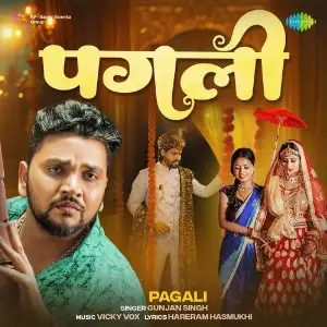 Pagali image