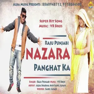 Nazara Panghat Ka image