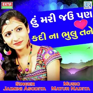 Hu Mari Jau Pan Kadi Na Bhulu Tane image