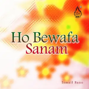 Ho Bewafa Sanam image