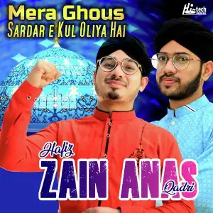 Hafiz Zain Anas Qadri image