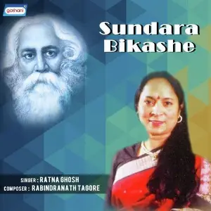 Sundara Bikashe image