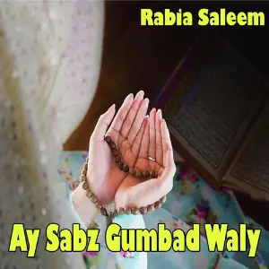 Ay Sabz Gumbad Waly image