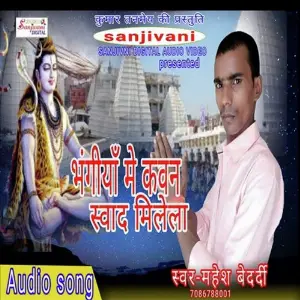 Bhangiya Me Kawan Swad Milela image