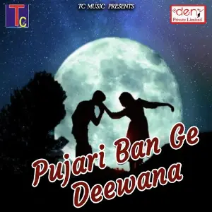 Pujari Ban Ge Deewana Various Artists