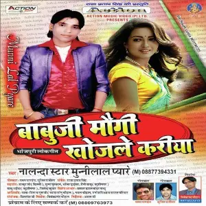 Babuji Mogi Khojele Kariya image