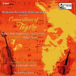 Tagore Symphony Orchestra image