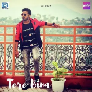 Tere Bina image