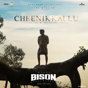 Cheenikkallu (From Bison Kaalamaadan) image