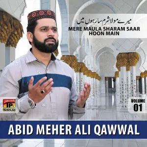 Mera Maula Sharam Saar Hoon Main, Vol. 1 image