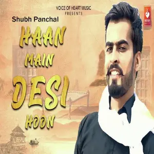 Haan Main Desi Hoon image