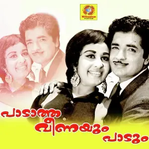 Paadatha Veenayum Paadum Raveendran