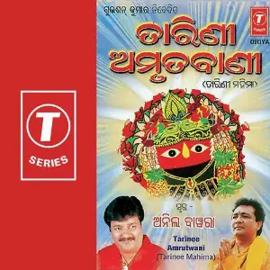 Tarinee Amrutwani image