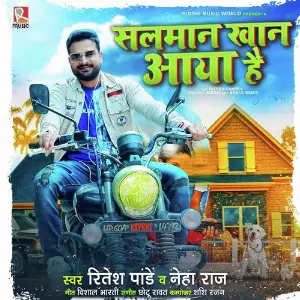 Salman Khan Aaya Hai image