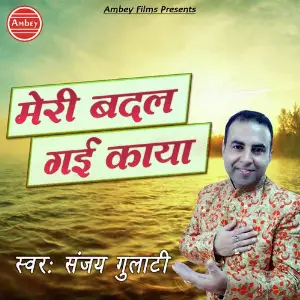 Meri Badal Gayi Kaya image