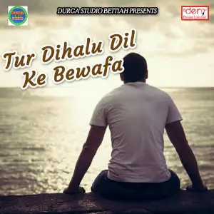 Tur Dihalu Dil Ke Bewafa image