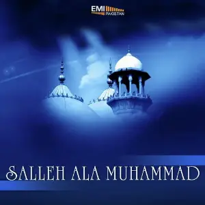 Salleh Ala Muhammad image