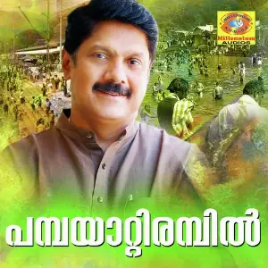 Pambayattirambil (From Sudhamadhalam) image