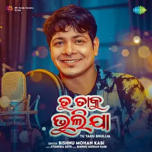 Tu Taku Bhulija image