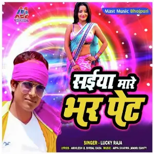Saiya Mare Bhar Pet image