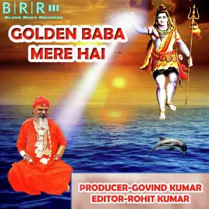 Golden Baba Mere Hai - Single image