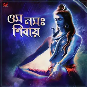 Om Namah Shivay image