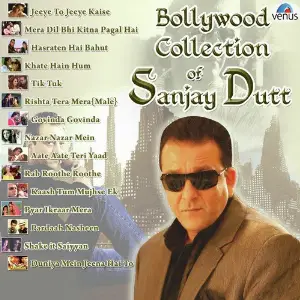 Bollywood Collection Of Sanjay Dutt Various Artists