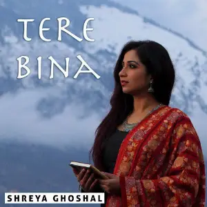 Tere Bina - Single image