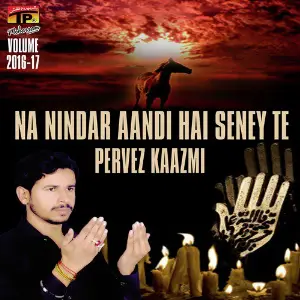 Na Nindar Aandi Hai Seney Te, Vol. 2016-17 image