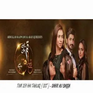 Tum Se Hi Taluq Hai - Ost Sahir Ali Bagga