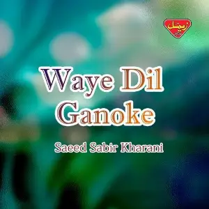 Waye Dil Ganoke image