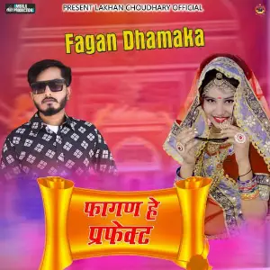 Fagan He Perfect image