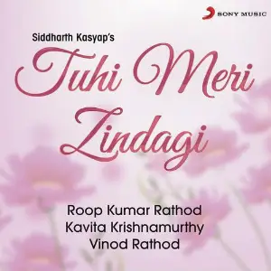 Tuhi Meri Zindagi image