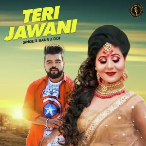 Teri Jawani image