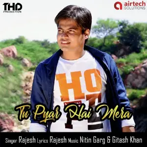 Tu Pyar Hai Mera image