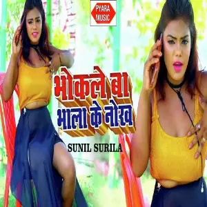 Bhokale Bhala Ke Nokh image