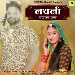 NATHNI PALKA DAAR image