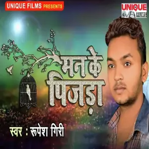 Man Ke Pinjada image